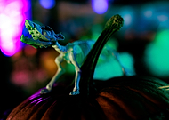 2023-10-21/d0cdff9c5225f294f7dbb8f3873c4cd1_c38d53c0c84c5cfdc3a373e9157d728f