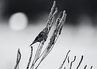 2023-10-22/c4f68a653d22866f47ddb2fc83e80788_4ec98d49012d12cfb00c04a4a890aa21