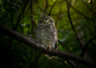 2023-10-22/e6fc44c0b23c3f1b8251a711d6e204c7_229d8d237adc58ab668d544b3b5fa4dc