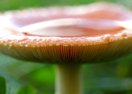 2023-10-24/f6016e85c653e5debcc7ad3b871cc542_c3742ca23ddbddefb47b30baaa95b05c