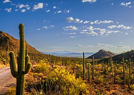 2023-10-29/8898dbf762dc3b855bfd11e3925a3ba1_db816986b55f73672ed2736b010a0e21