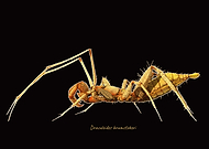 2023-11-11/8011eaf9049d86d175282c9e01465035_2db55699e200887fe9774eeb88d456fe