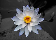 2023-11-14/00d2e9306fba1500e28758e37ba9806d_a00d1212f5f67502fbe51582cf5f354c