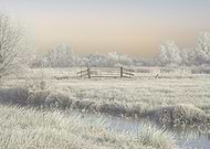 collection-preview-1