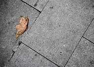 2023-11-21/4cec35d7f921d70ff9e78d8dc941052c_665c2863318bbcf7feaed54b88ded6c4