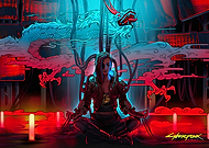 collection-preview-2