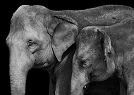 2023-11-29/8f6f6792aa22e1c3c1c058e93a576673_0530b9bbeb6f1134b7aa9009cfb2673a