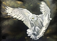 2023-11-30/bdf78ff632a7ecdea3903108c6e76522_117e8056b73c8bfaf8cd59a7c4bbf31d