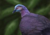 2023-12-01/1aa70385a1d106052edca53bef62490f_616008075b2312466406176f0d07779e