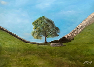 2023-12-07/d89aa642dd395480751c069804550069_a2f11105305aa4317fc07f62a2b75ffe