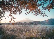 2023-12-09/e840c4d1e3f96ab611196cd044735771_11df85fdc28d3c0dbfe1a81a76e58315