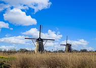 2023-12-12/df6b108ee20321b509f38ec2e420244c_121539497aec791984e1edeb6cba03c1