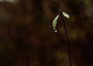 2023-12-19/2c176ec1888d7644cce2bef88d224a8f_f60d4dd521beb114413b60ab5872ad33