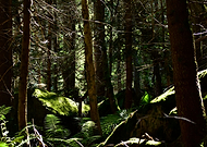 2023-12-19/6fde921bf0d6277d30278840da0c1691_34ba29fca4dffd157583cf4ec44ee623