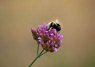 2023-12-30/3c2cbfc88b59853f6c423444bc855dc7_6e15c4625573d524a0ce8c75850a5616