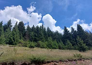 2024-01-03/4d6e7937596452fcebb009a82698b998_278e562183892359969d9a906dc0153e