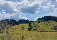 2024-01-03/99e6e0e2279e926d40d58bce71c85b7b_20257cab881e104afb84c120e8858ffd