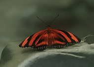 2024-01-07/edcb8490f4b1d636f903b7c5441b9697_f38a502bba3a22f2fd3b66625d9e9006