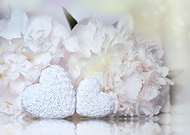 2024-01-08/117ce8b4818ce410a980efbb86a22657_bcdaaff037ecc2bce23c24336d58e722