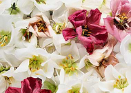 2024-01-15/102e852d0aa7e719f9b1a382e3d7d1df_5d142c846f54eb440062260261c4ebdc