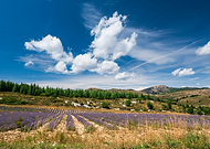 2024-01-21/3f881b1e477cc995241d66d22fa7a3ae_907efa2211374a316073ff9a02e638a5