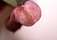 2024-01-26/2d96d816a8b3d4c843e8d9d37977efc5_b990cd329f437c14ef443c9b275e73ba