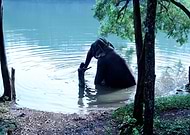 2024-01-30/f1b58c84b5cd7ae6f62b8d8adb8243de_7ba6d194d1f59cc1556947234f4db307