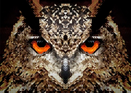 2024-02-03/5aafc736e4c96c2d96833793902ebd83_1a6ca9813d28a102a2e997af966f73df