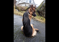 2024-02-11/e6543ac4f6d1d94676cc23032ee87de2_3a486ae13daafd3ec377ffe83e7f701f