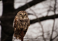 2024-02-12/e3ab4403990123d9104ea66fe258d47d_5599e1f58ade184d1eb81e5795d59403