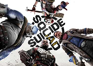 collection-preview-2