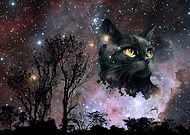 2024-02-26/43d57974083a3e50e9070d26f77abcab_5a9fc6bcffb3f919dd10bce0f0a7c8b2