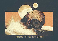 collection-preview-1