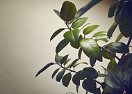 2024-03-07/253e0051db851f3136b5a6331acad2fa_097f31aa10bd8ece196fe5138b17e3f4