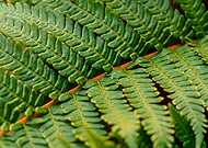 2024-03-14/e260955eaf6e485c676b5e370b280a9f_ef7f0279a7ebd08adac621c36603b7e6