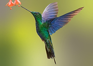 2024-03-17/4d46f633e9fad238993eb781a0a9f0d7_659ebdf78b80a602ef4e4d5f517bf110