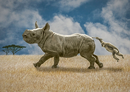 2024-03-23/aa7dcd7df587bc0c4842c48ea7155ed7_9fe697eaea7560995a0749130f9b04a1