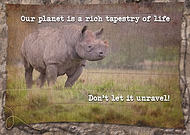 2024-03-23/ab6c3b4cd5a685ef9bbf2703ac266ded_c636b30acd65cb9e03d802fad94d2e01