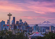 collection-preview-3