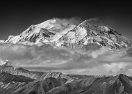 collection-preview-3