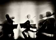 collection-preview-3