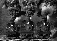 collection-preview-2