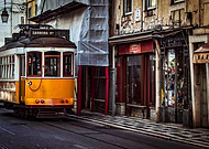 collection-preview-2