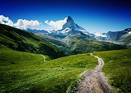 collection-preview-1