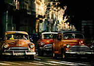 collection-preview-3