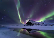 collection-preview-3