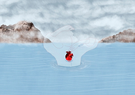 2024-04-03/0b7d36c3fae13917e06e3b327403bd5d_83e060e825675d30d190c772d7d6ae80