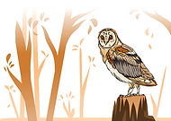 2024-04-05/c3d2fe0e8ed1921d319211cd35427b95_ef7d48e68b9084414e71f5323fd5de8c