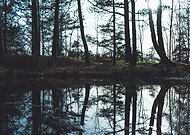 2024-04-08/8ba1ed538b2cdee2266ddf6c958b451f_1b80d8828ae21d2ce2aa849c522841dd