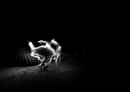 2024-04-18/831646ef1b4d6702584419078235d0c8_ce5db44c274271a5e4378e9dd1607d0f